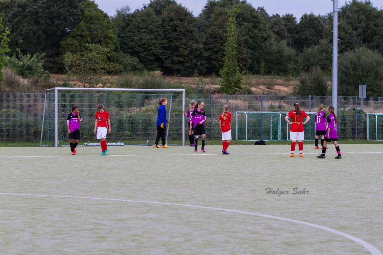 Bild 253 - C-Juniorinnen FSC Kaltenkirchen - SV Wahlstedt : Ergebnis: 1:8